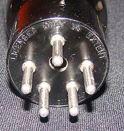 5-nóżkowy amerykański